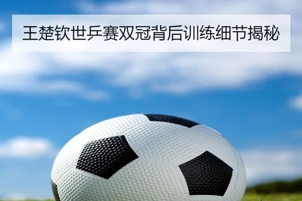 王楚钦世乒赛双冠背后训练细节揭秘